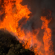 Flames from the so-called Malibu Fire in November 2018.